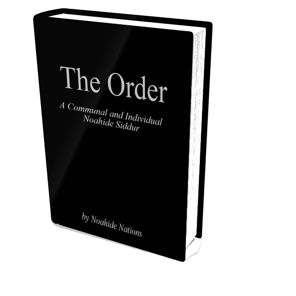 the-order-trans